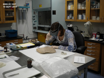 Examining and object