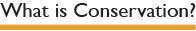 Whati s Conservation?