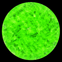 Green circle