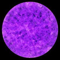 Purple circle