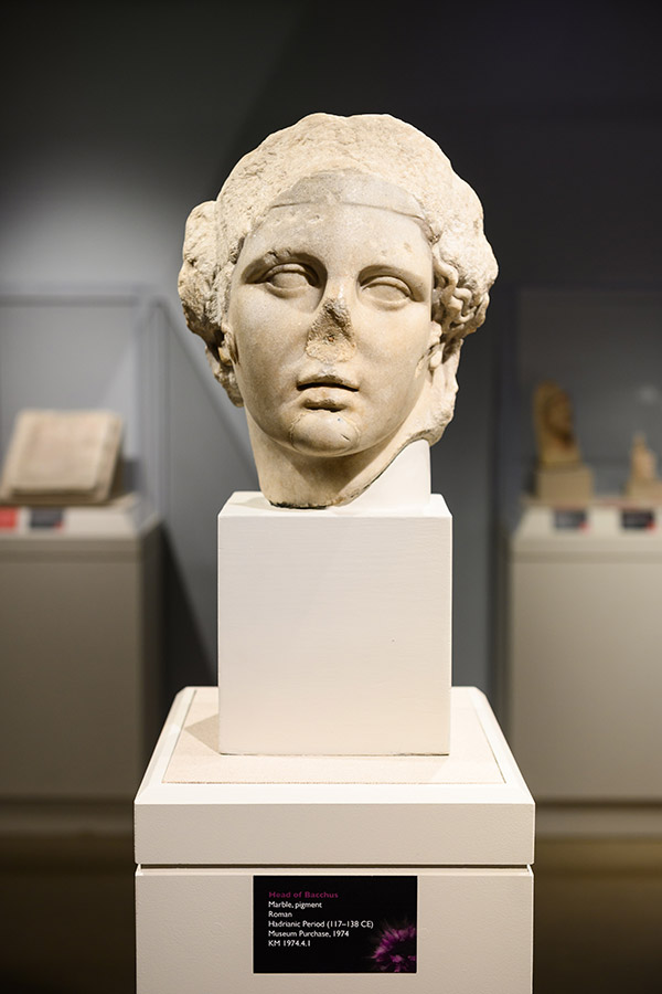 View of gallery installation