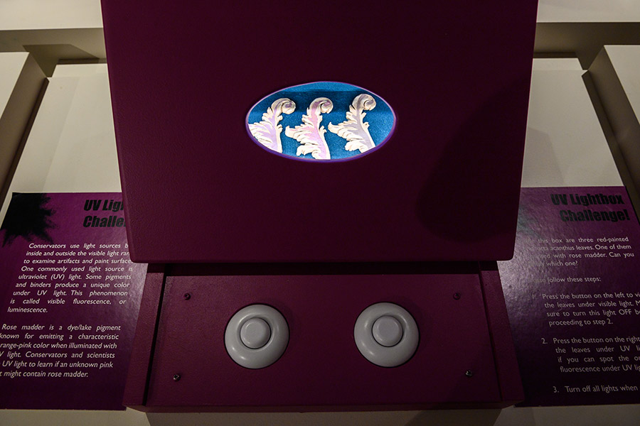 View of gallery installation