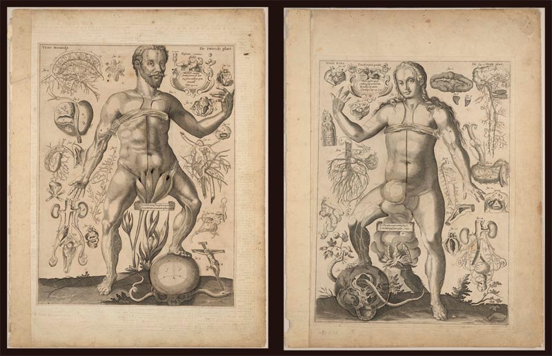 Johann Remmelin and Lucas Kilian