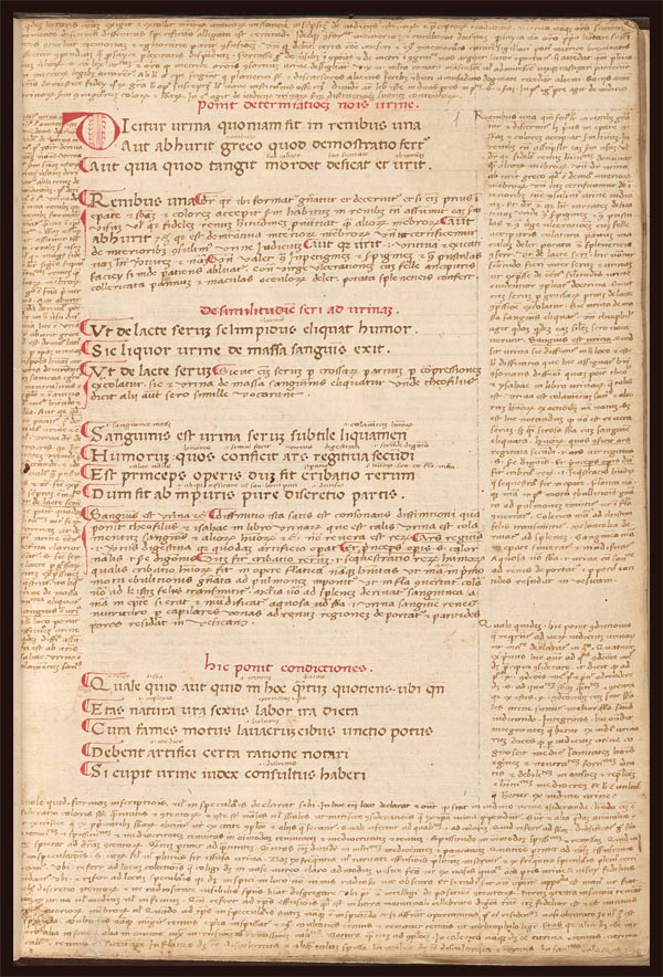 Treatise on uroscopy