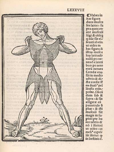 Mondino’s Anatomia