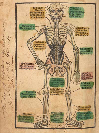 The Garden of Health