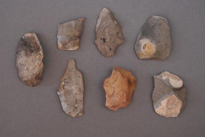Lithics