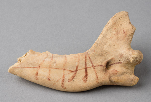 Dog jawbone with magical symbols