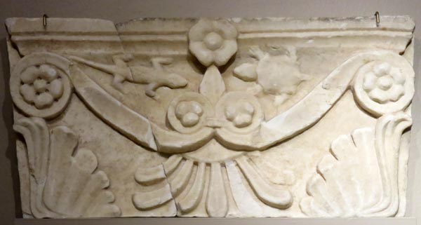 Capital with turtle and salamander