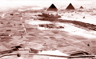 Click to view larger