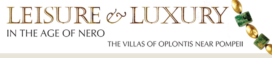 Leisure and Luxury in the Age of Nero