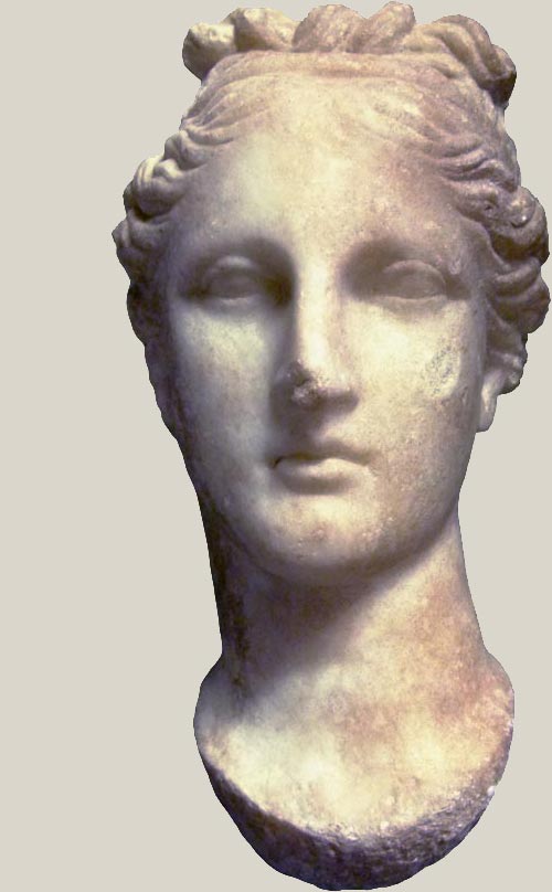 Head of Venus
