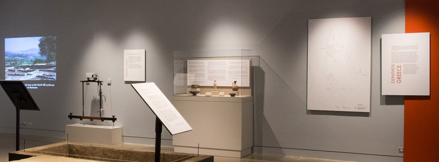 Olynthos display