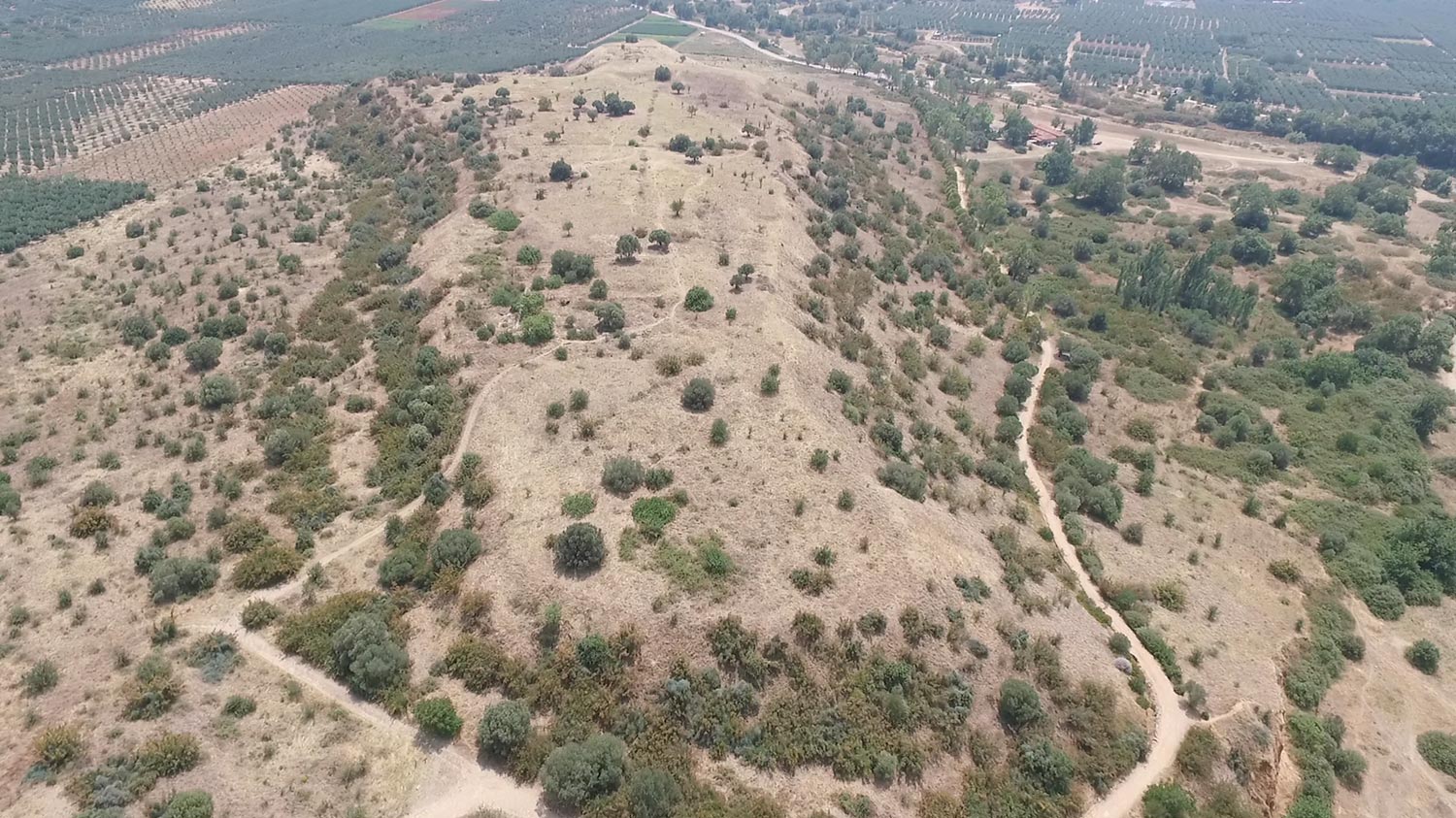 South Hill, facing south